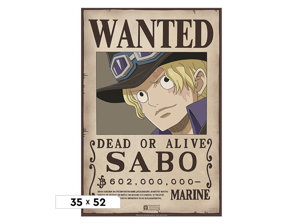 Abysse Luffy´s Crew Wanted Straw Hat Pirates One Piece Poster