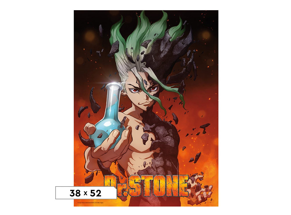 Dr Stone Anime Online - www.puzzlewood.net 1696378522