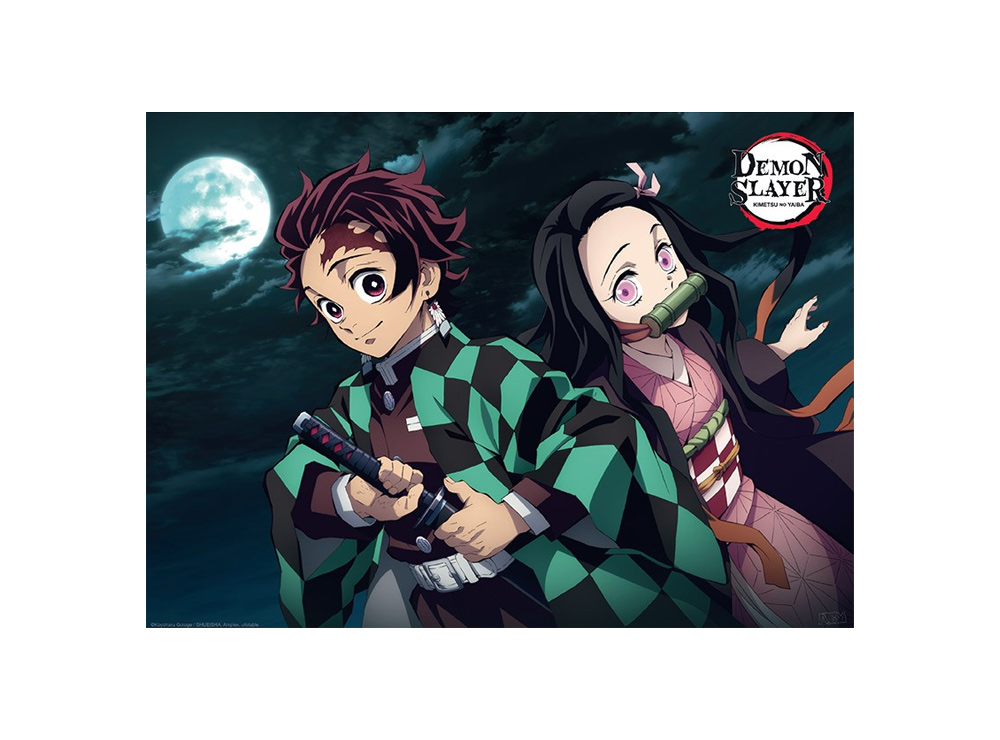 Poster Demon Slayer Tanjiro And Nezuko Fight Position 52x38cm